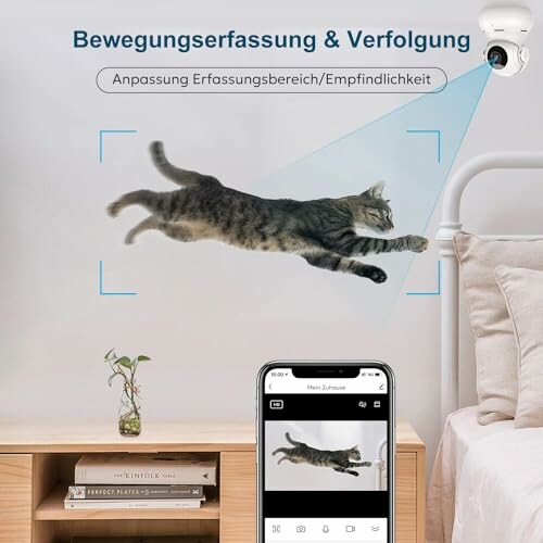 Kamera erfasst springende Katze zur Bewegungserkennung.